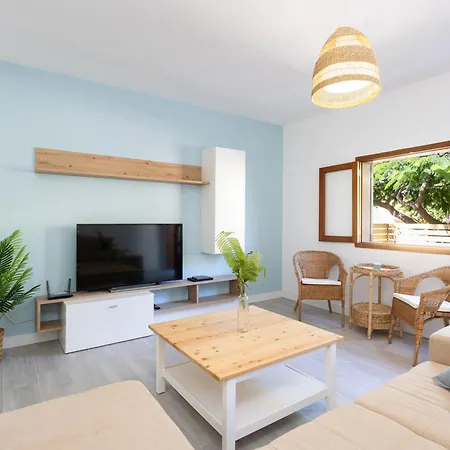 Live Piramides Güimar